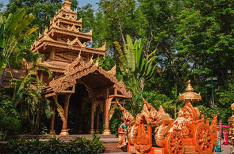 中国西双版纳雨林生态游